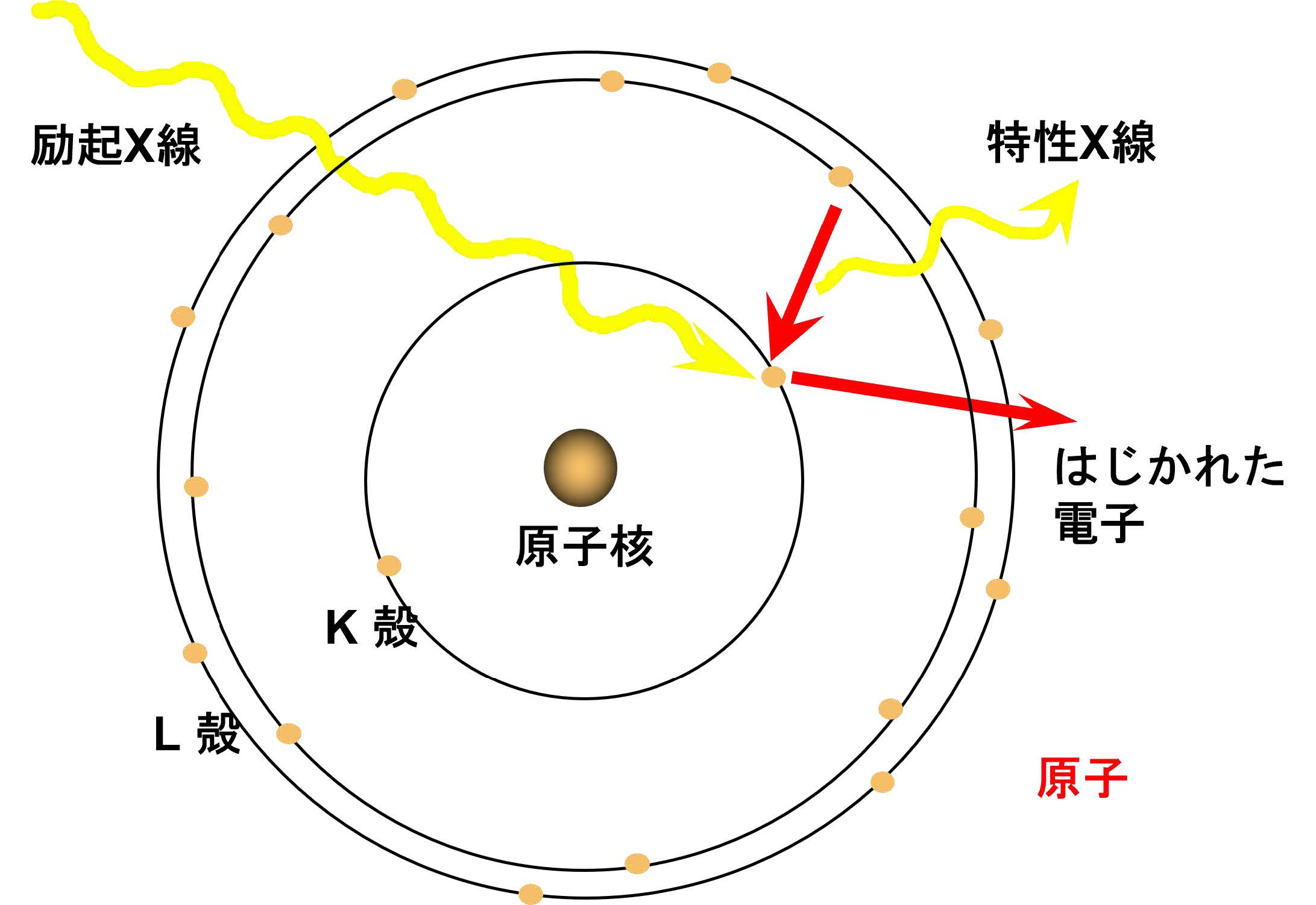 原子のボーアモデル